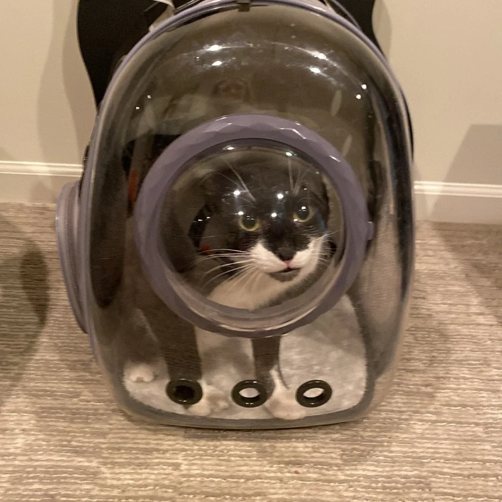 Cat bubble backpack